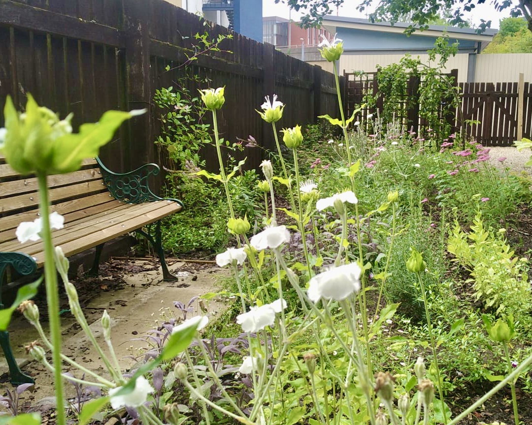 University of Lincoln wildlife friendly garden design