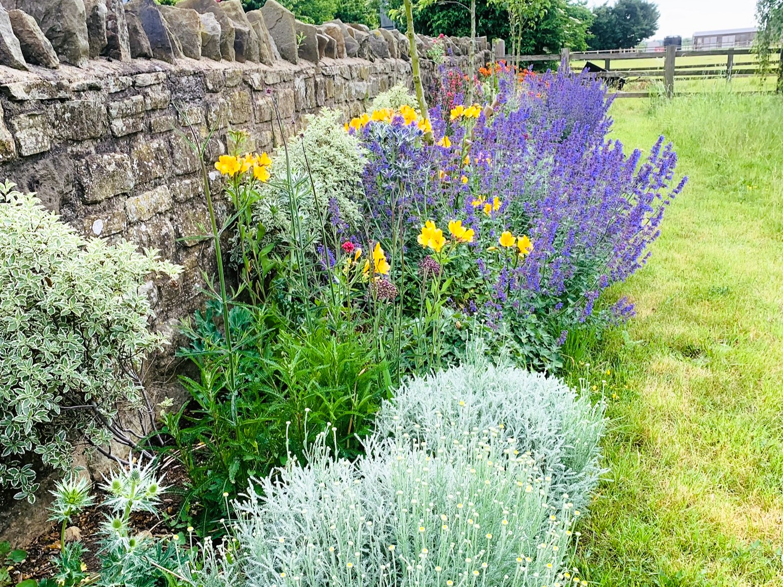 Sustainable and resilient border design. Using no dig to create flower borders near Sleaford