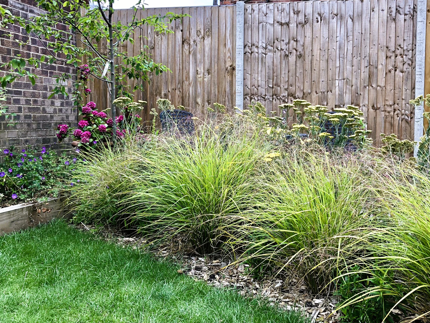 colourful garden design for new build house near Gainsborough and Lincoln. Easy to manage planting