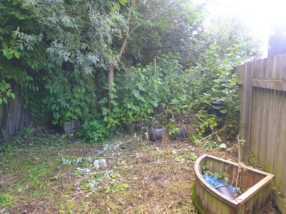 Award‑Winning Peace Garden Design at The University of Lincoln with wildlife friendly planting scheme, designed to be environmentally friendly and attract pollinators