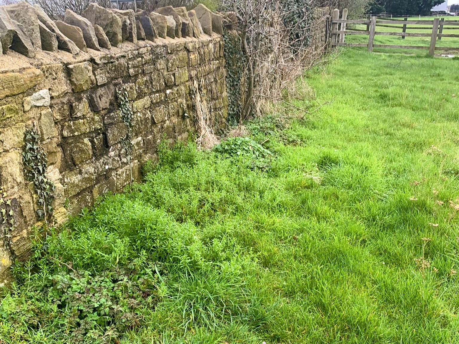 Sustainable and resilient border design. Using no dig to create flower borders near Sleaford