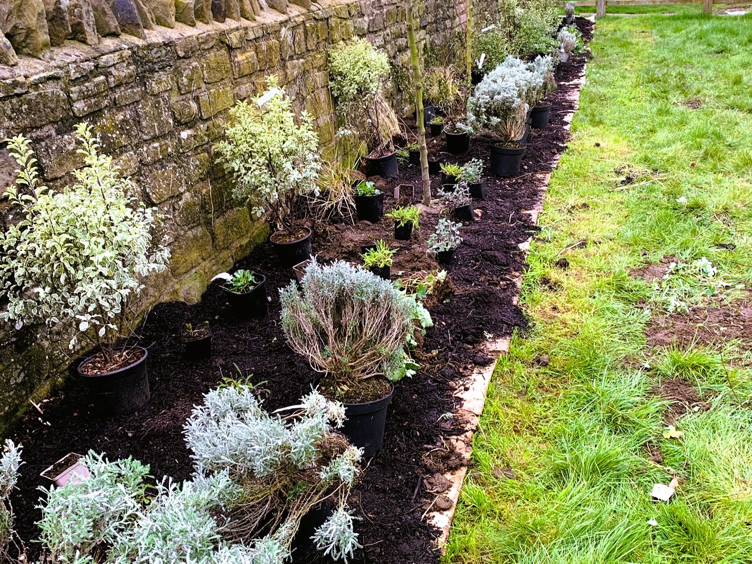 Sustainable and resilient border design. Using no dig to create flower borders near Sleaford