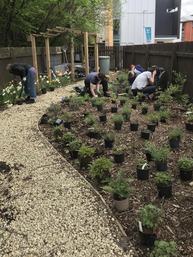 University of Lincoln planting design wildlife friendly garden