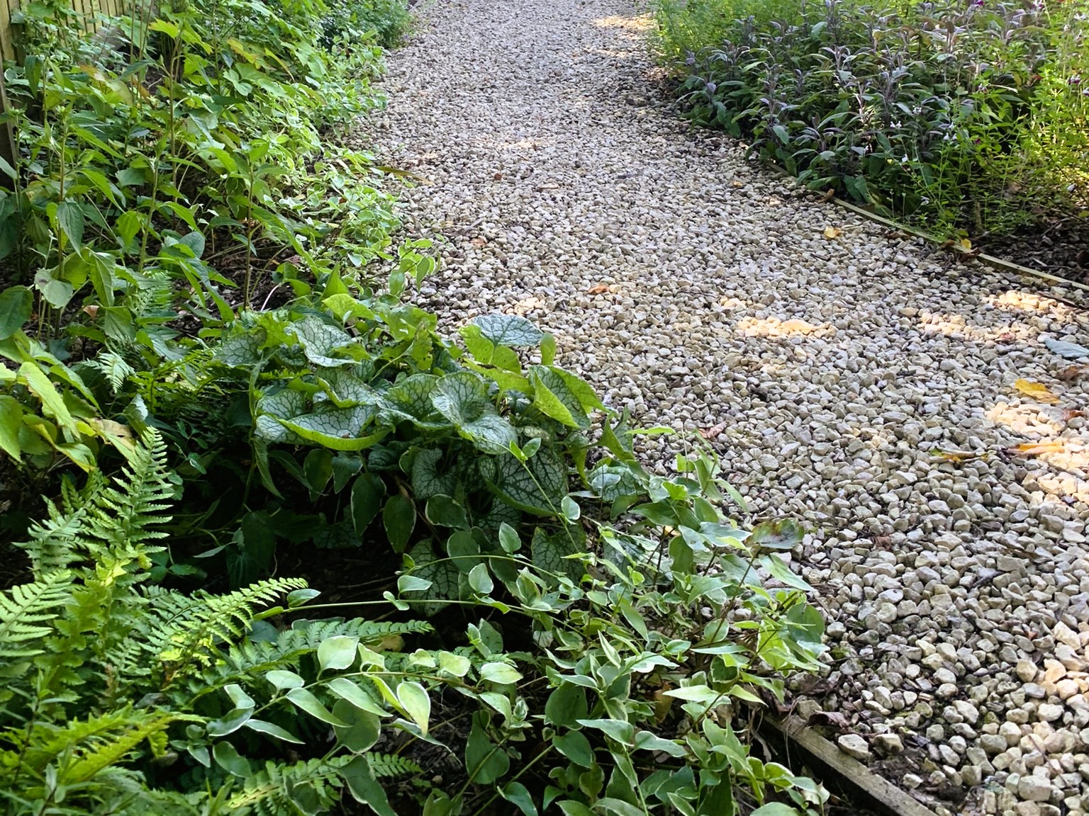 Award‑Winning Peace Garden Design at The University of Lincoln with wildlife friendly planting scheme, designed to be environmentally friendly and attract pollinators