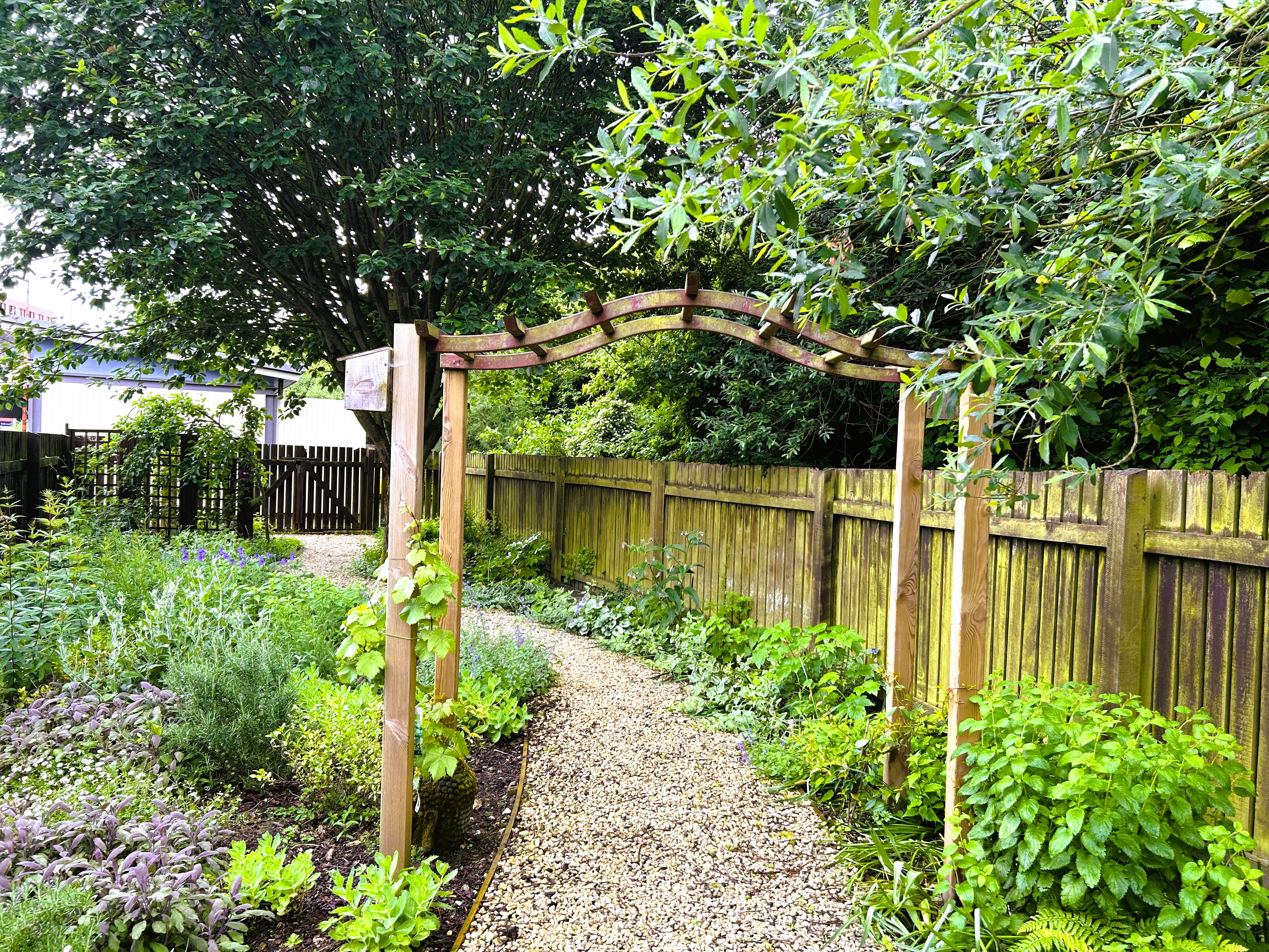 Award‑Winning Peace Garden Design at The University of Lincoln with wildlife friendly planting scheme, designed to be environmentally friendly and attract pollinators