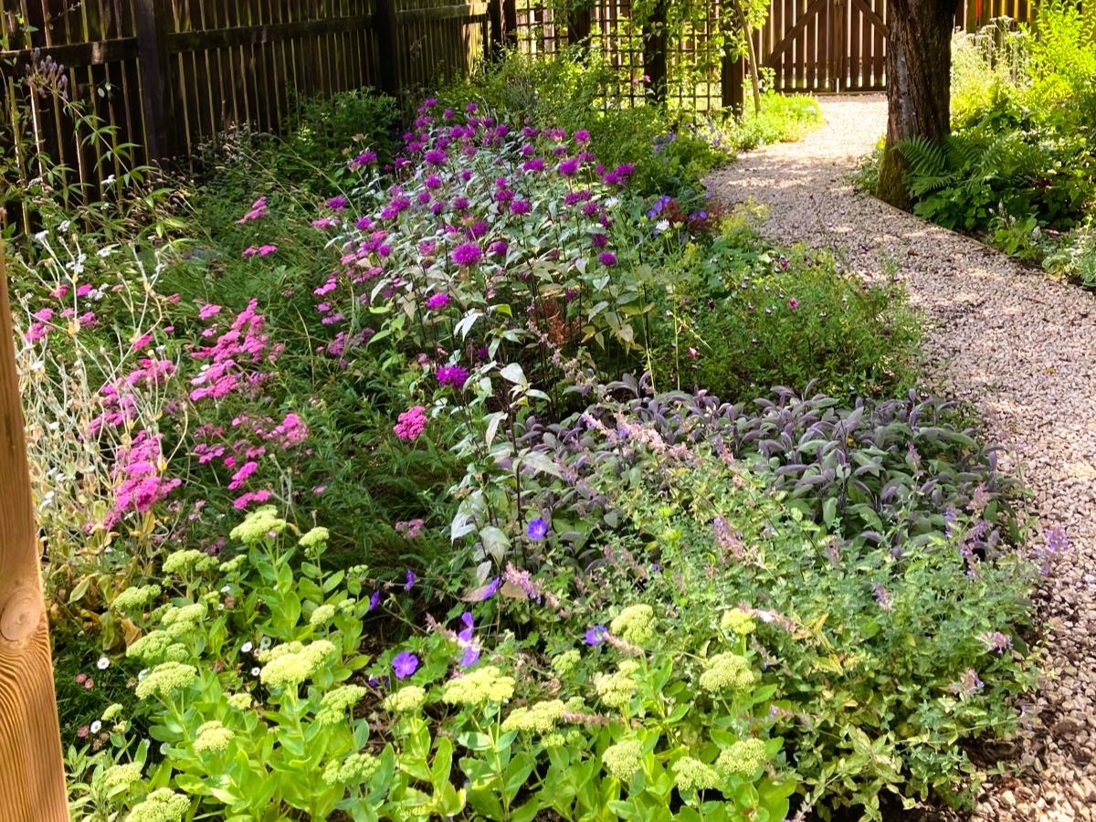 Award‑Winning Peace Garden Design at The University of Lincoln with wildlife friendly planting scheme, designed to be environmentally friendly and attract pollinators