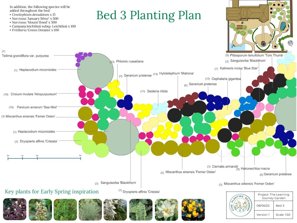 Biodiversity net gain planting and garden design in Lincoln, Sleaford and Grantham